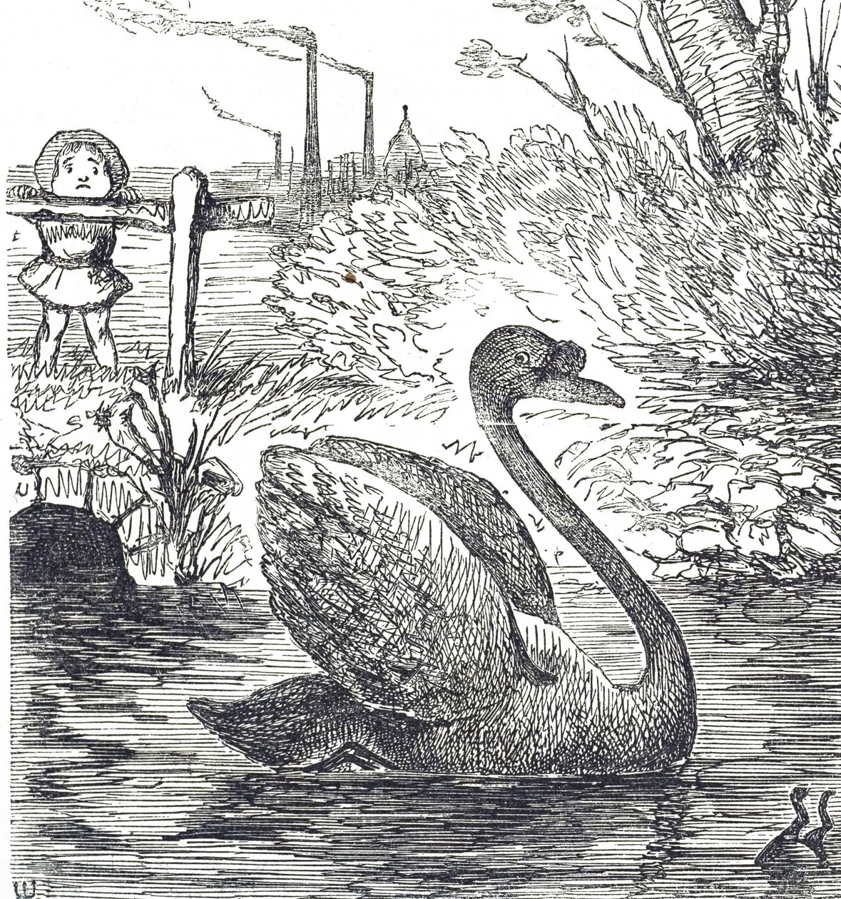 Caricature commentant la pollution de la Tamise à Londres - John Tenniel