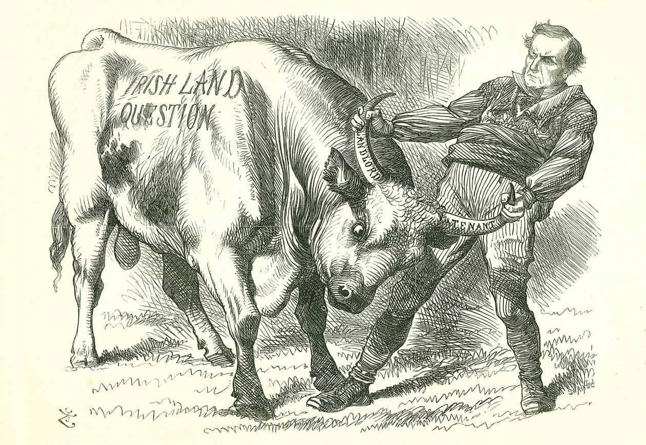Prendre le taureau (irlandais) par les cornes: Projet de loi adopté par le Parlement le 15 février 1870 et ayant reçu la sanction royale le 8 juillet. William Gladstone, Premier ministre, traitant la question. Caricature de John Tenniel dans Punch, Londres - John Tenniel