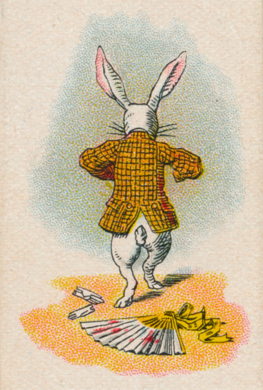 Le lapin s