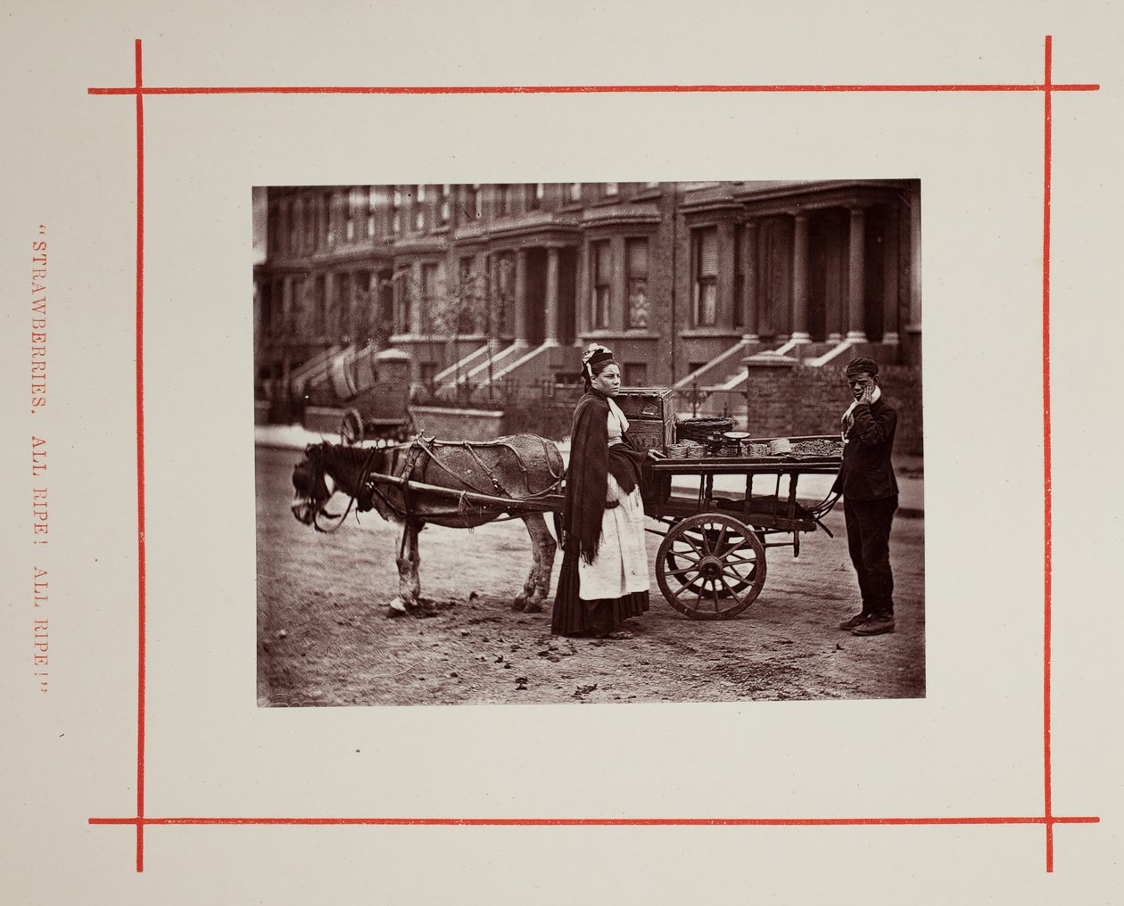 Fraises. Toutes mûres! Toutes mûres! - John Thomson