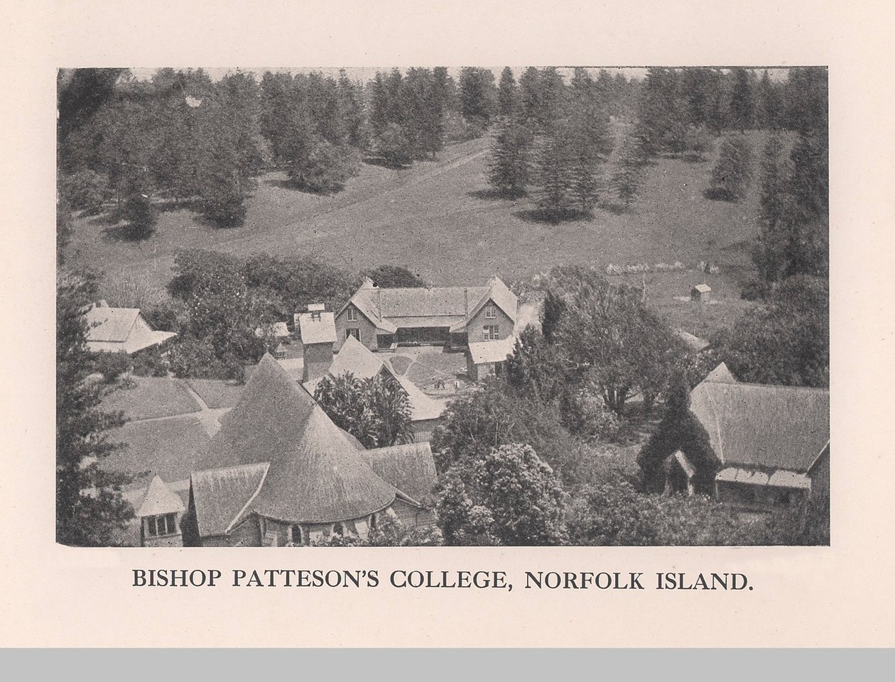 Collège de l