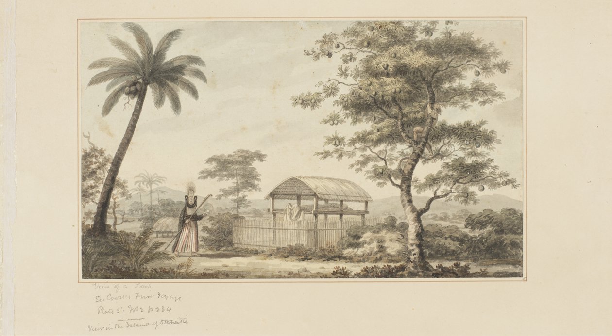 45 : Vue d