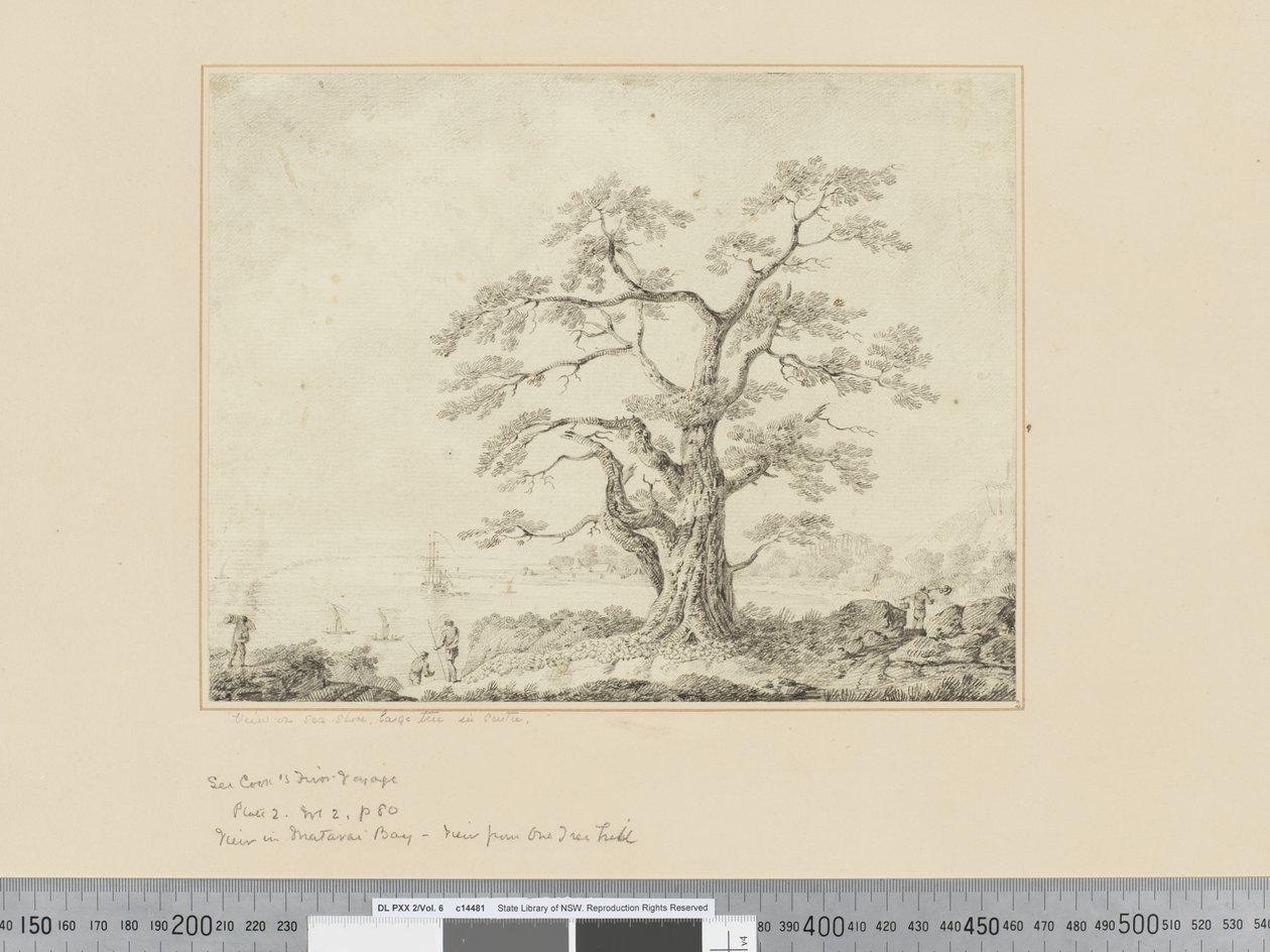 Vue sur le rivage, grand arbre au centre, vers 1783-84 - John Webber