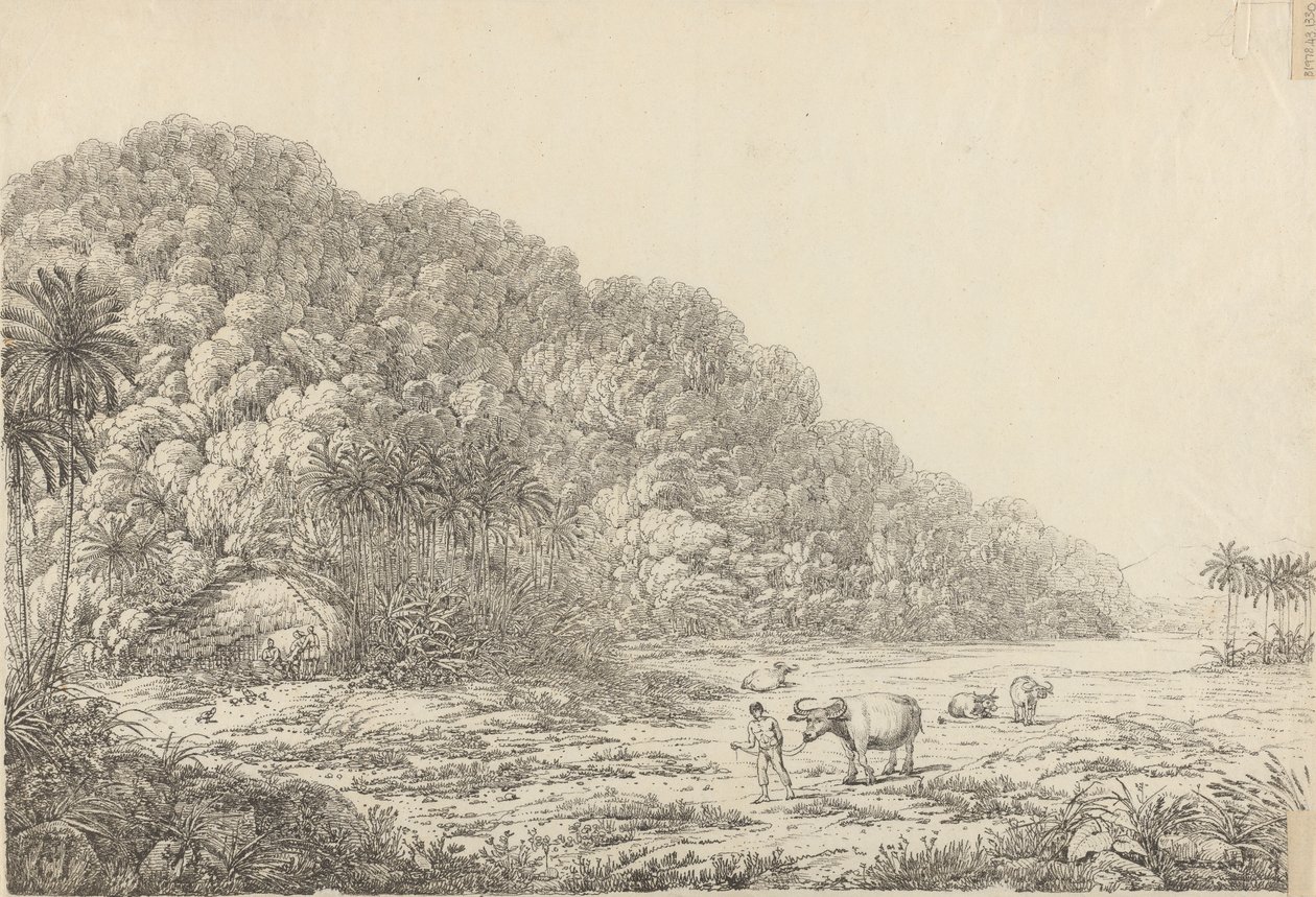 Vue sur l