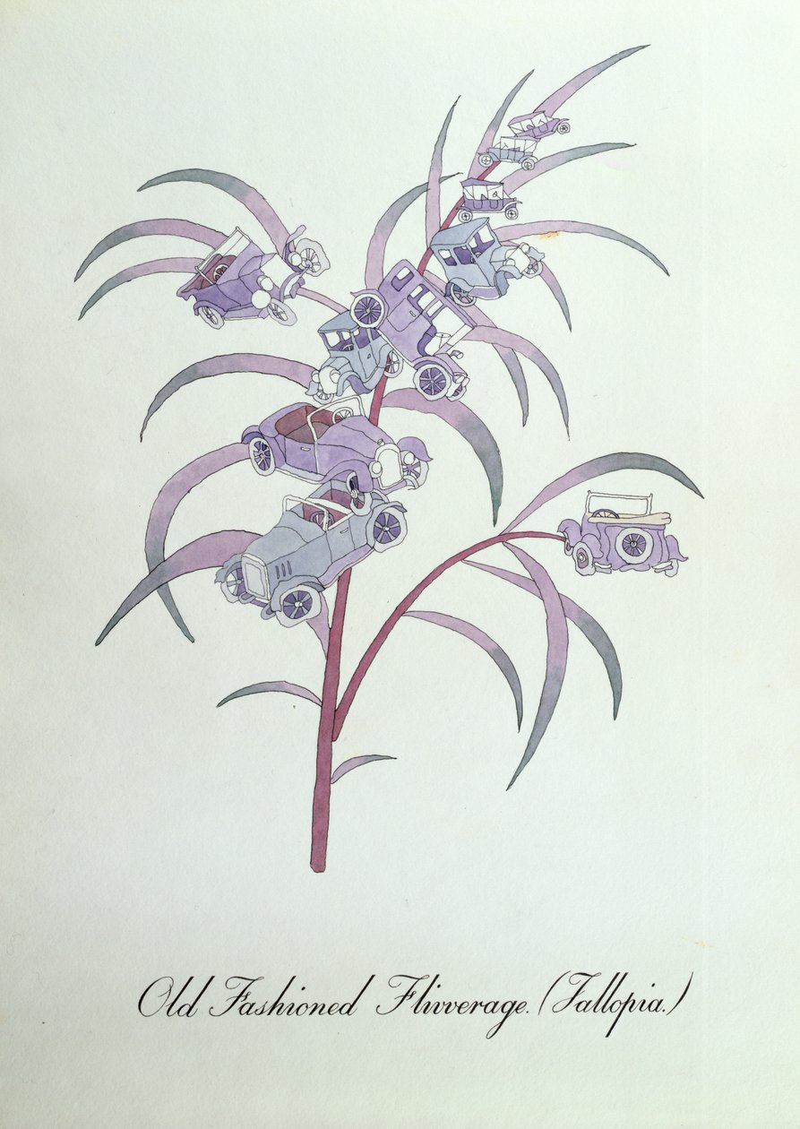 Vieille mode Flivverage (Fallopia.), illustration de 