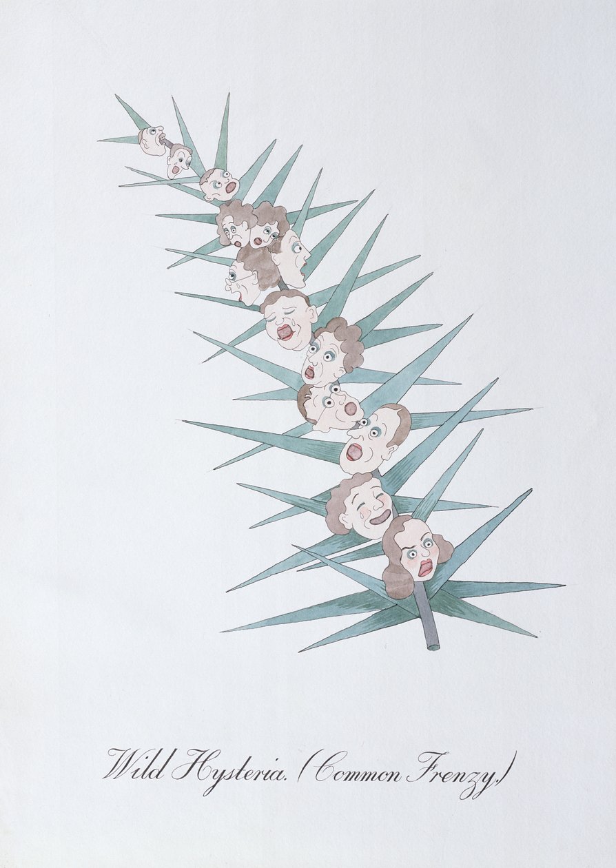 Hystérie Sauvage (Folie Commune), illustration de 