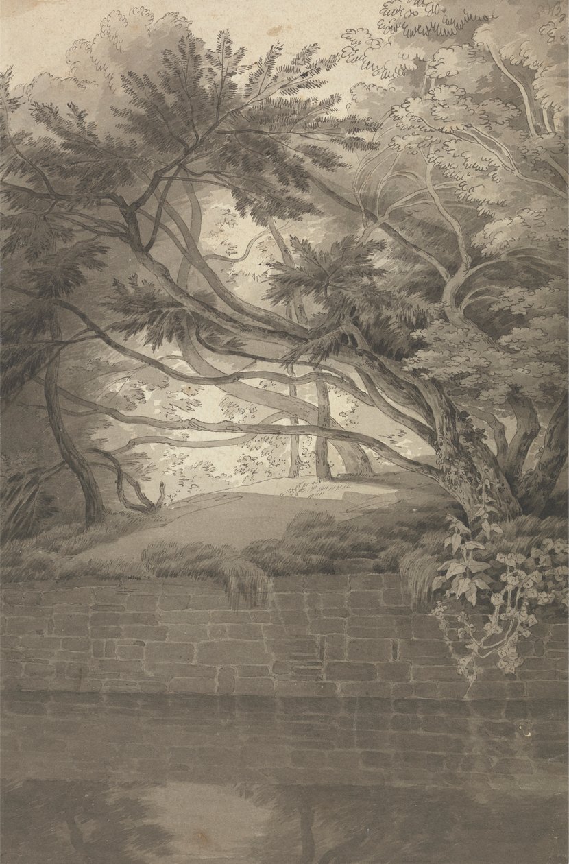 Arbres surplombant un lac - John White Abbott