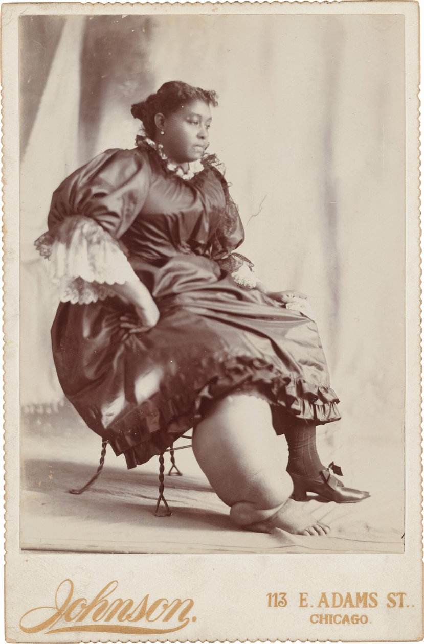 Portrait de femme, c. 1890 (photo) - Johnson