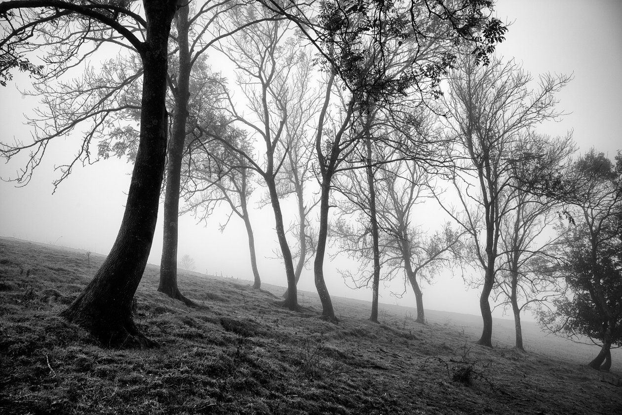  - Jon Nicholson