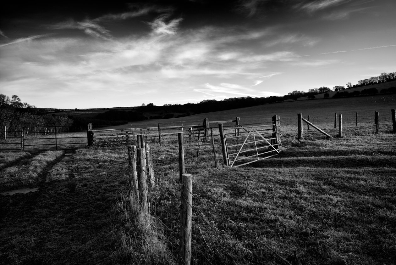  - Jon Nicholson