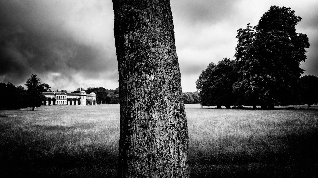 Le domaine de Goodwood dans le West Sussex, Royaume-Uni, 2020 (photo) - Jon Nicholson