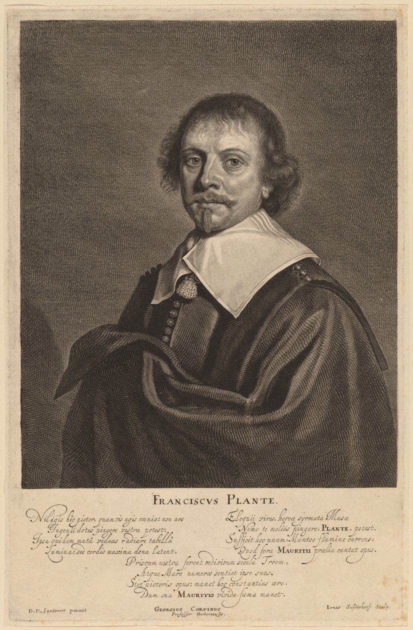 Franciscus Plante - Jonas Suyderhoff after Pieter Dircksz Santvoort