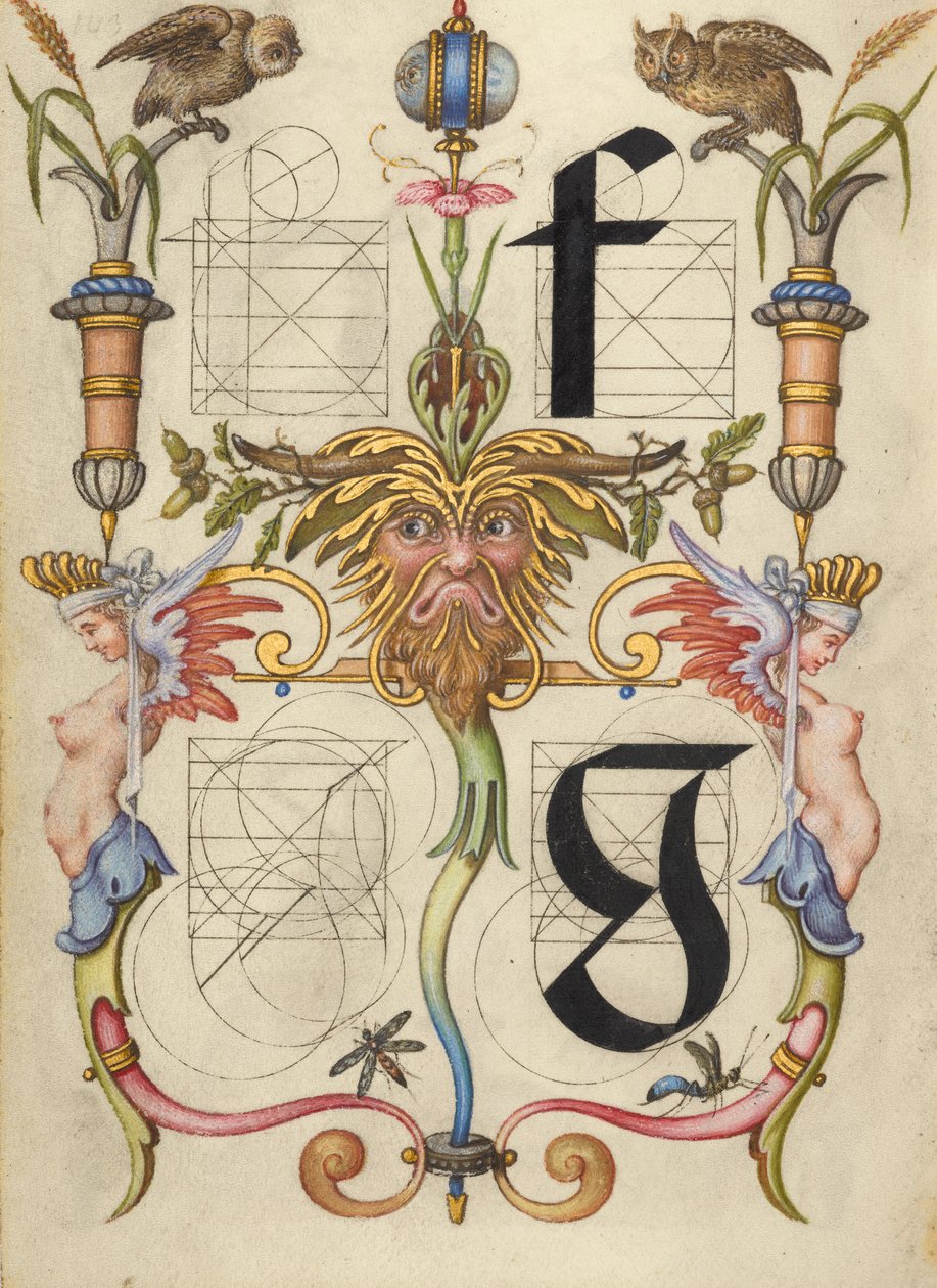 Guide de construction des lettres f et g - Joris Hoefnagel