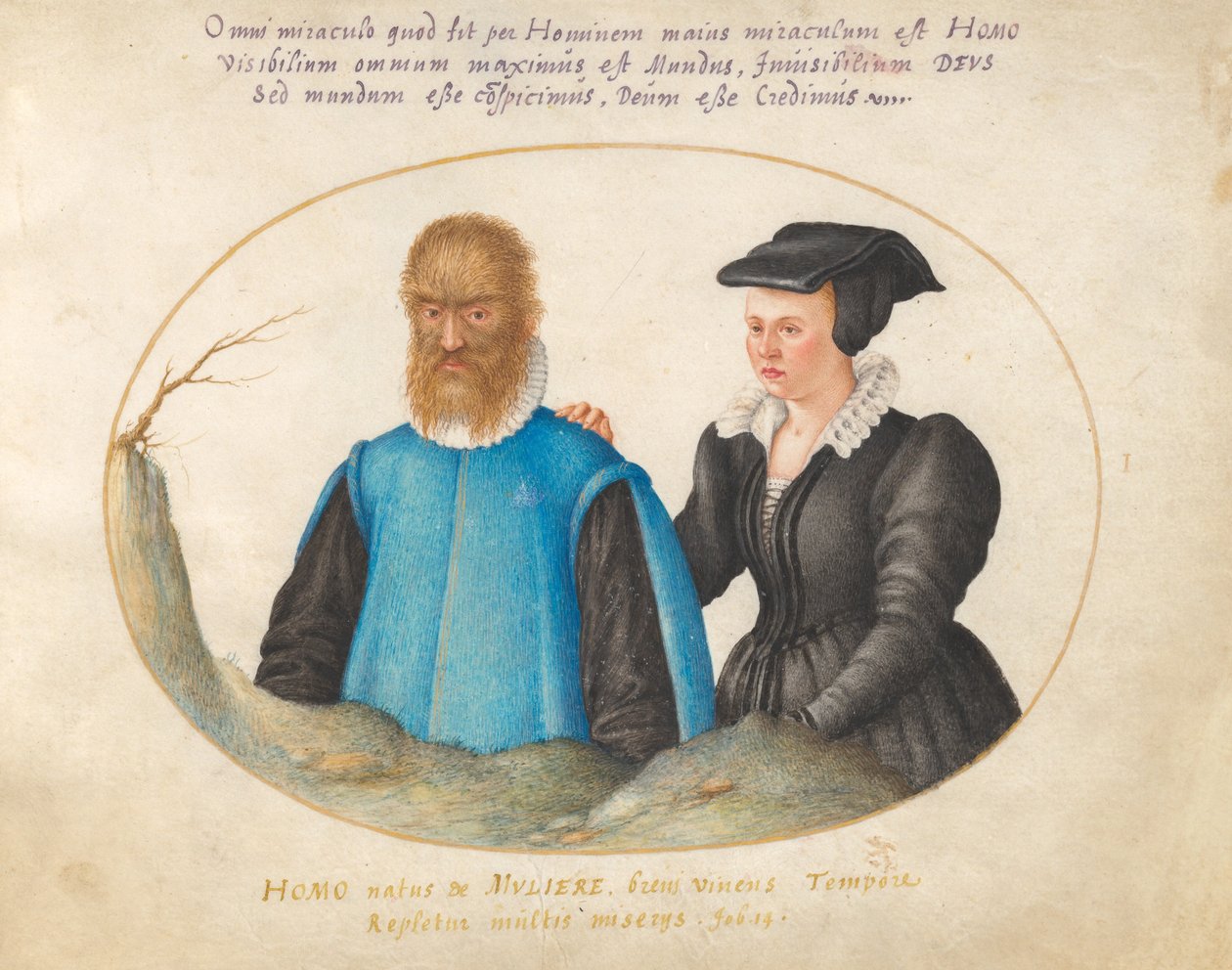 Planche 1 : Pedro González (Petrus Gonsalvus) et sa femme, Catherine - Joris Hoefnagel