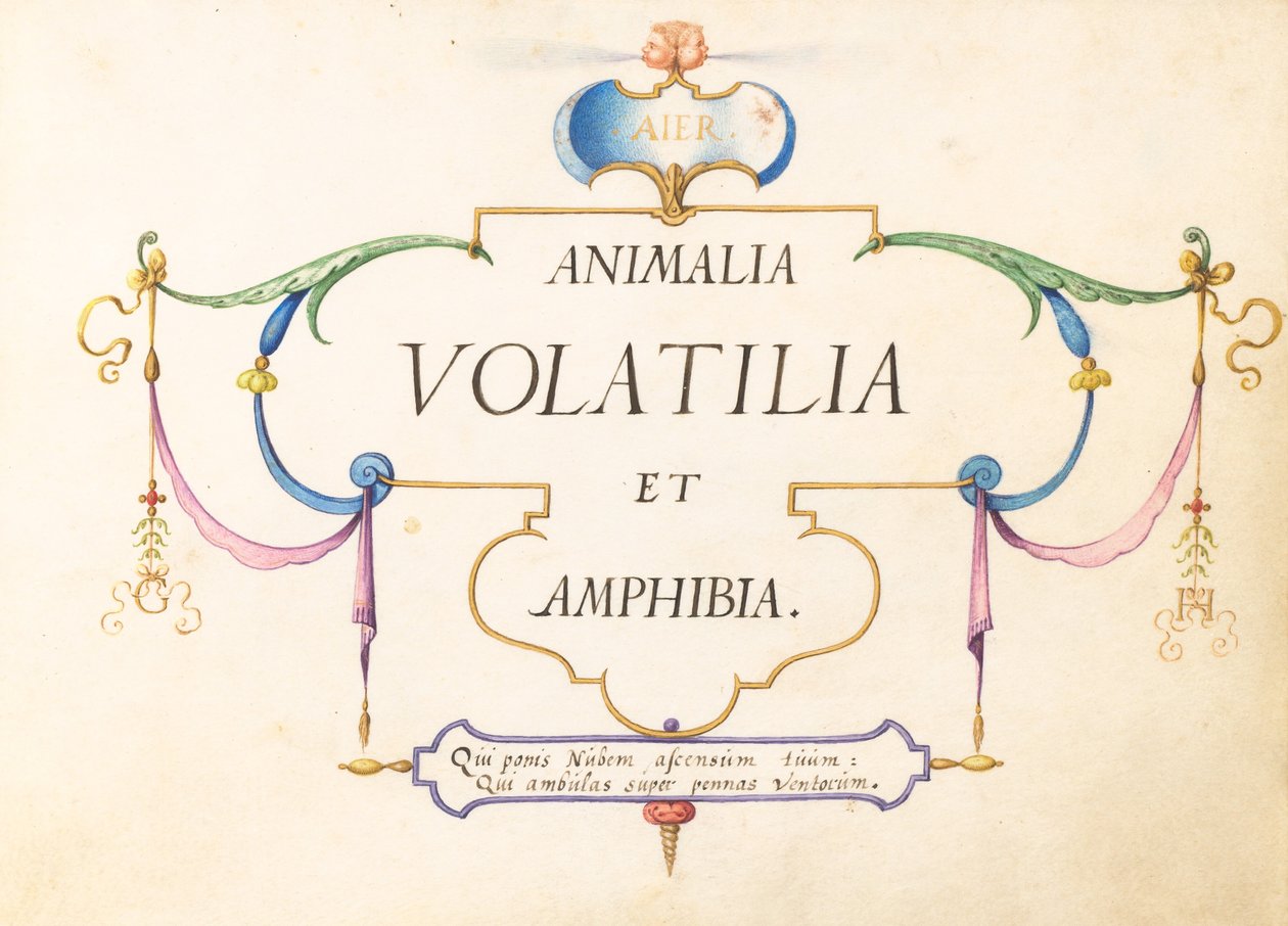 Page de titre - Joris Hoefnagel