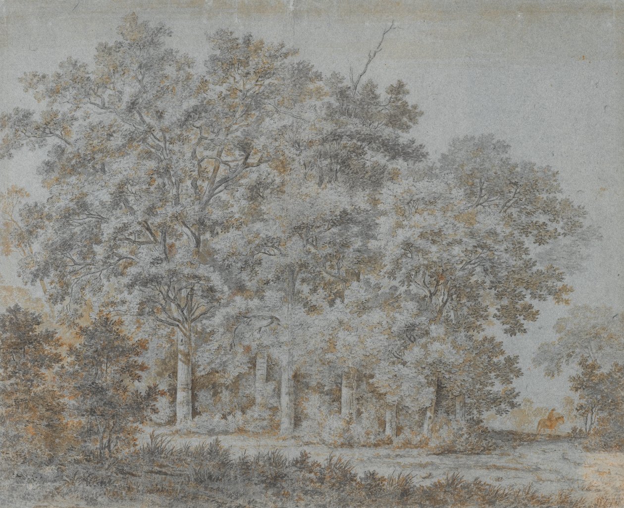 Forêt et cavalier - Joris van der Hagen