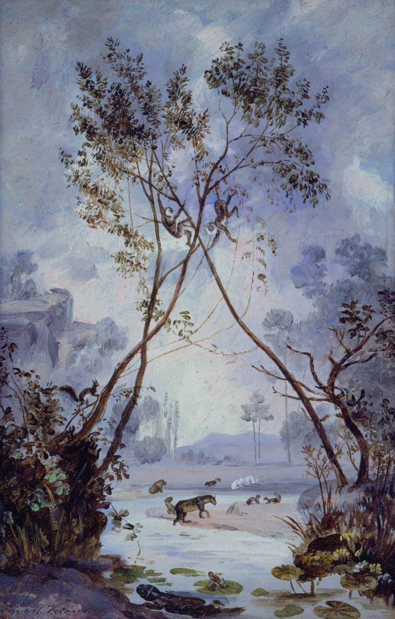 Flore et faune de la période miocène cénozoïque. Évolution de la vie continentale sur Terre - José Marí Velasco