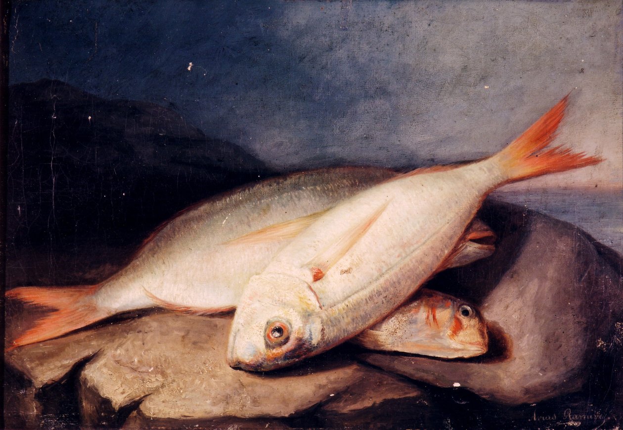 Espagnol : Bodegón de peces - José Arias Ramírez