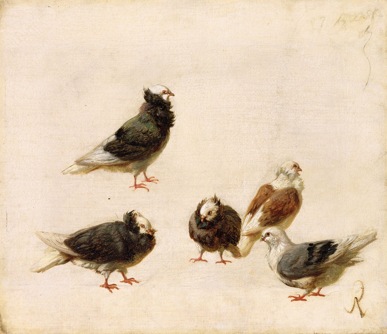 Pigeons, 1888 - Jose Ruiz Blasco