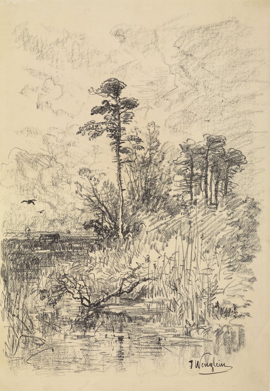Paysage fluvial - Josef Wenglein