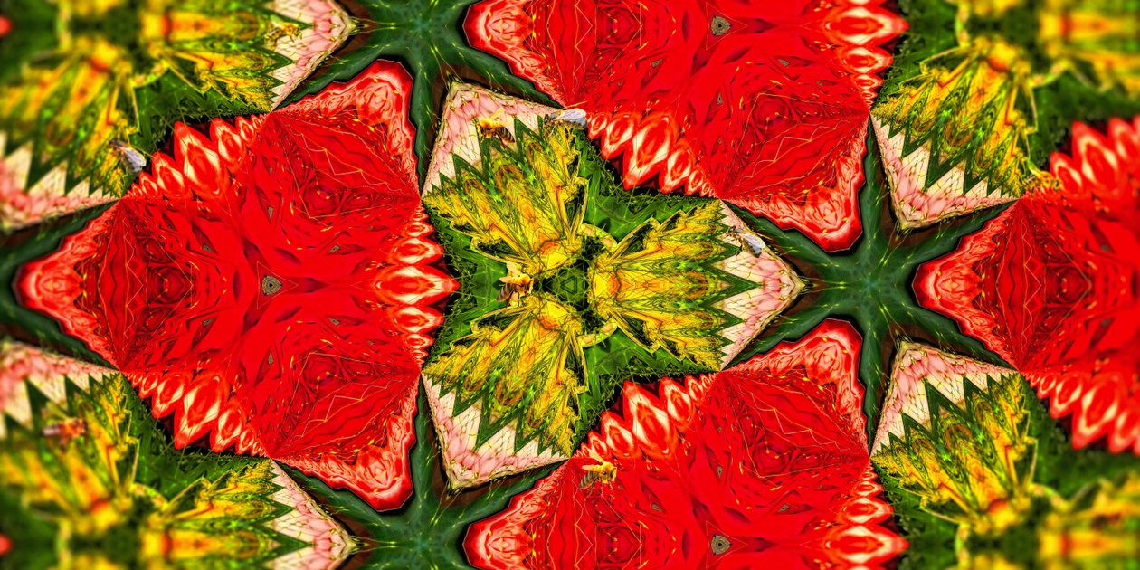 Créatures : Abeilles dans le jardin de roses - Josef Johann Michel