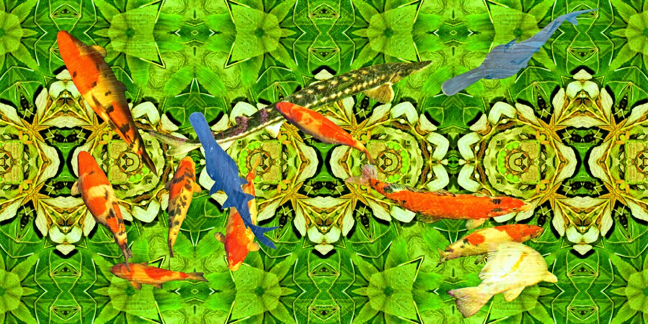 Créatures : Poissons koi dans le jardin sous-marin 3 - Josef Johann Michel
