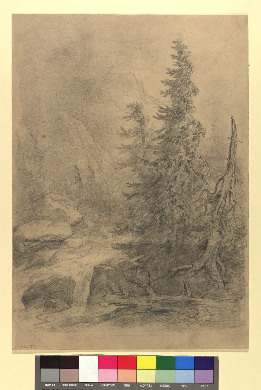 Ruisseau de montagne avec conifères - Josef Kriehuber