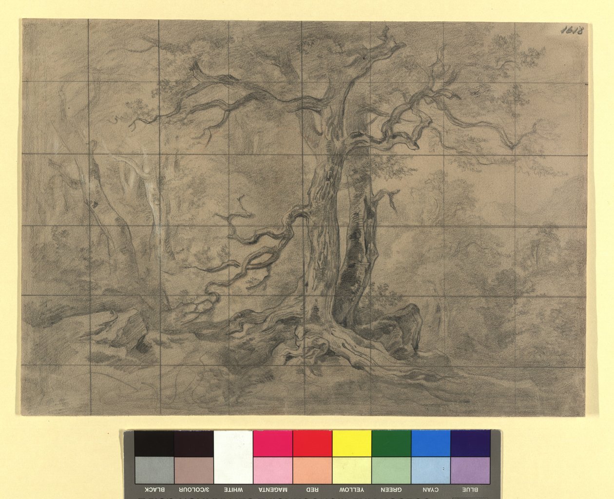 paysage forestier - Josef Kriehuber