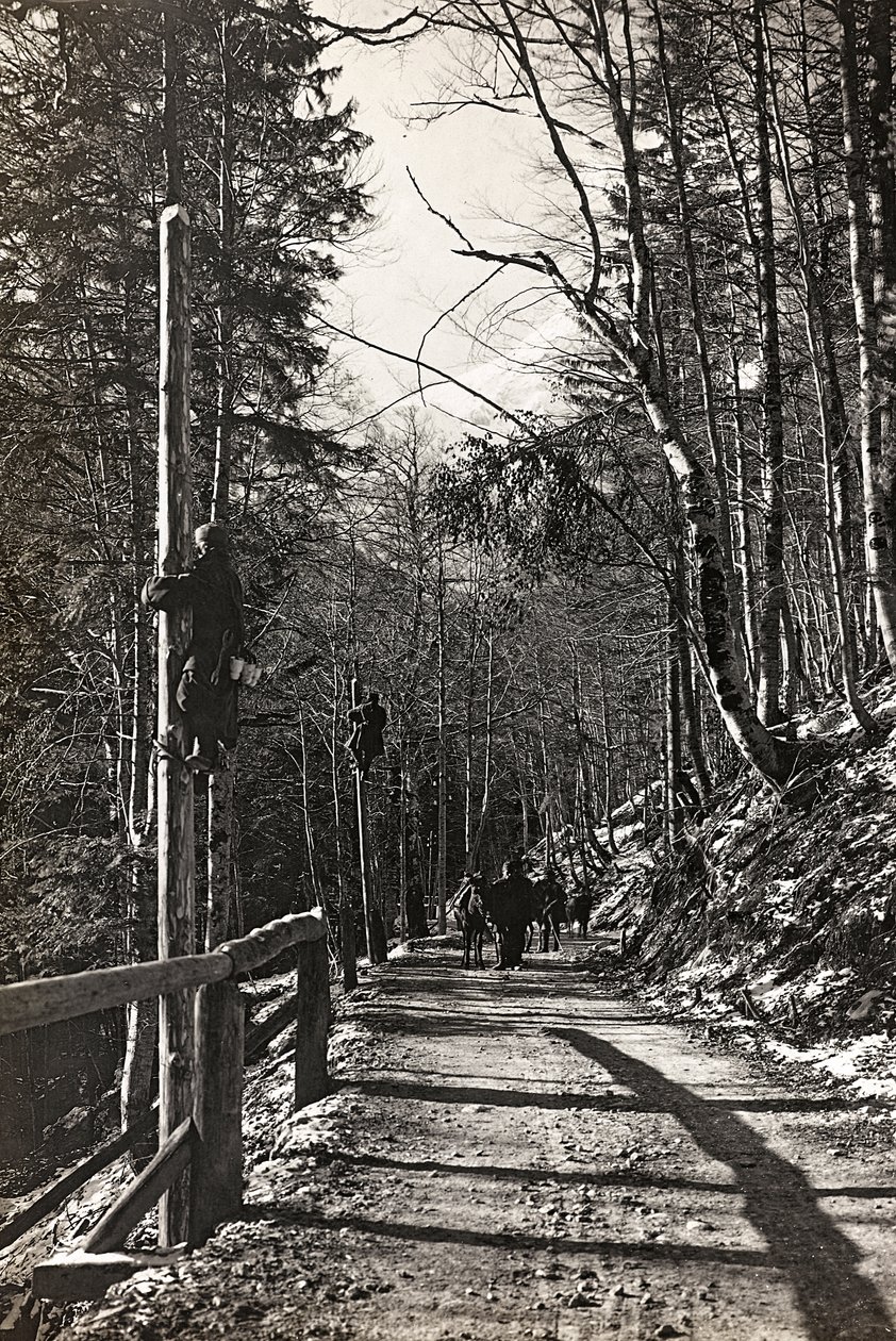 Album "Meine weltkriegs - Erinnerungen Front Sud-Ouest (Carinthie, Italie, Tyrol du Sud) 31/03/1915-12/11/1918 - Josef Zohles Wien": soldats au travail - Josef Zohles