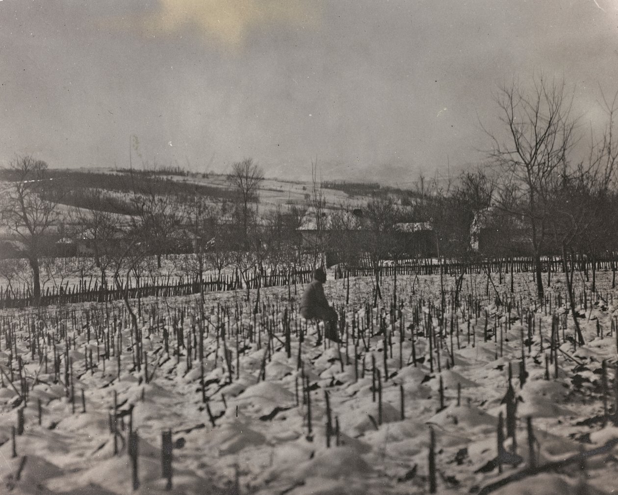 Album "Meine weltkriegs - Erinnerungen Front Sud-Ouest (Carinthie, Italie, Tyrol du Sud) 31/03/1915-12/11/1918 - Josef Zohles Wien": cimetière militaire - Josef Zohles