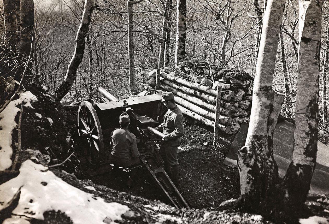 Album "Meine weltkriegs - Erinnerungen South-West Front (Carinthie, Italie, Tyrol du Sud) 31/03/1915-12/11/1918 - Josef Zohles Wien": soldats avec canon - Josef Zohles