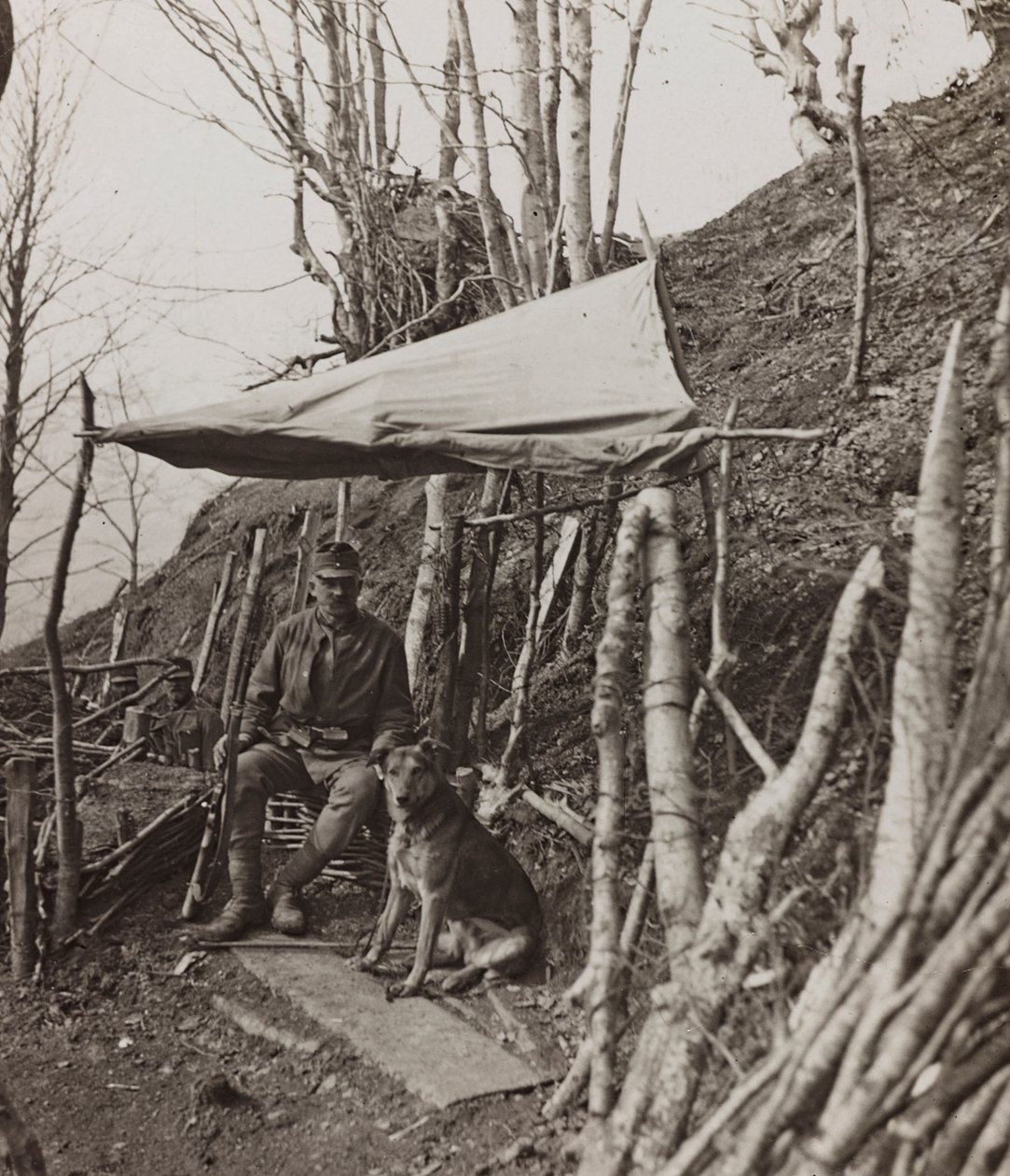 Album "Meine weltkriegs - Erinnerungen South-West Front (Carinthia, Italie, South Tyrol) 31/03/1915-12/11/1918 - Josef Zohles Wien": chien militaire sous une tente - Josef Zohles