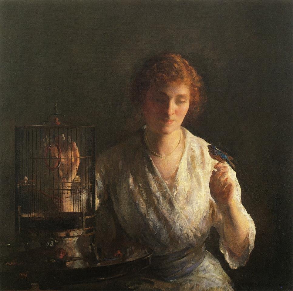 Oiseau bleu - Joseph DeCamp