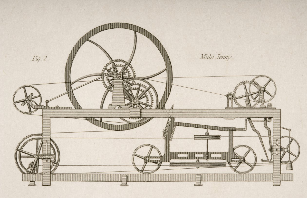 Vue latérale d