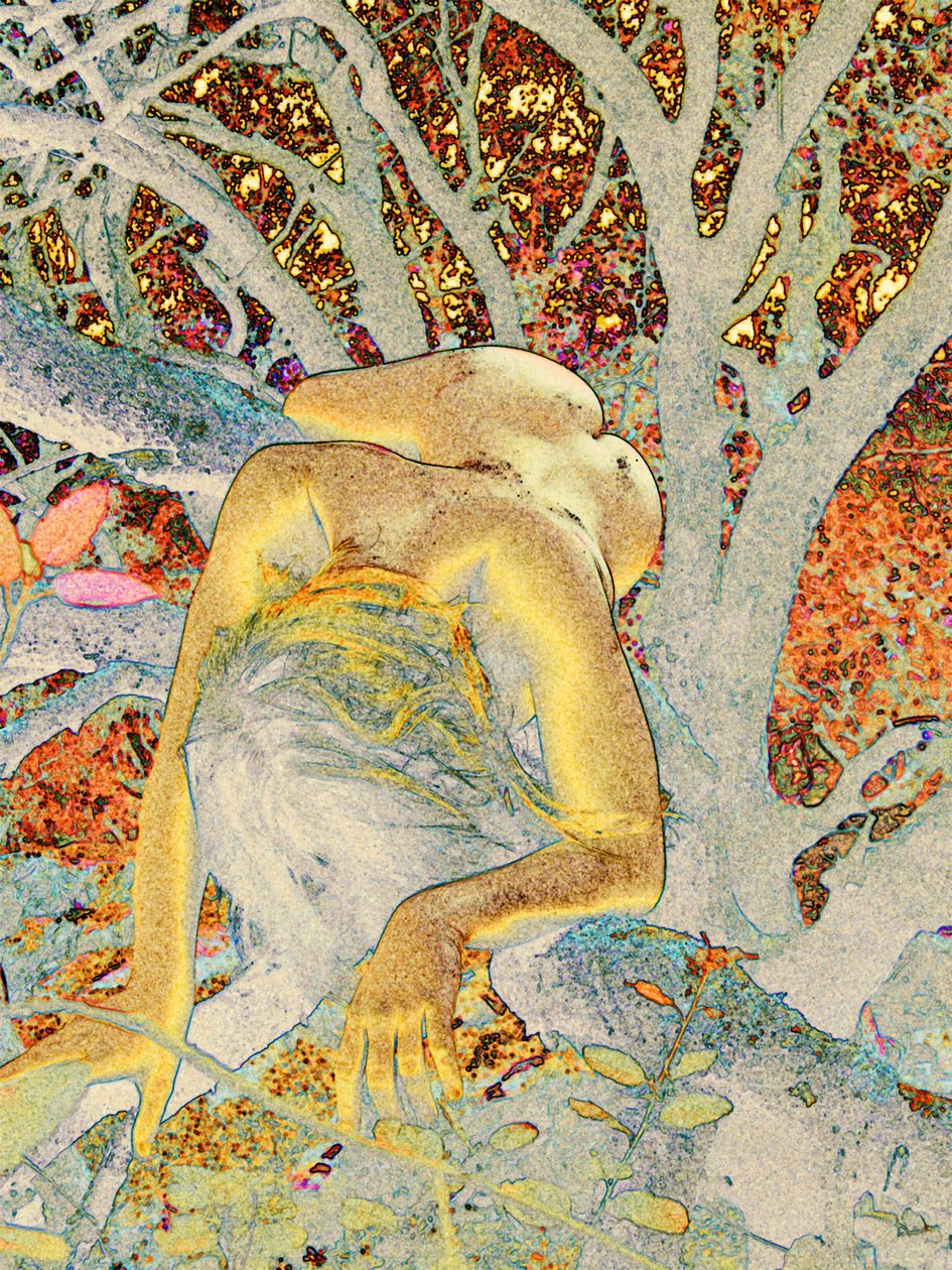 Arbre - Joseph Angilella Auquier