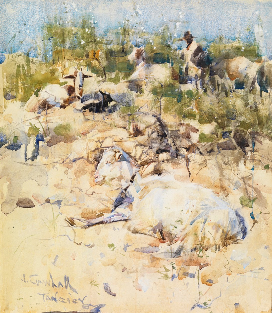 Chèvres sur une colline, Tanger - Joseph Crawhall