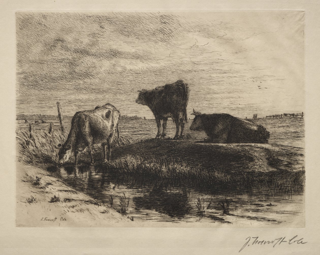 Les Trois Vaches - Joseph Foxcroft Cole