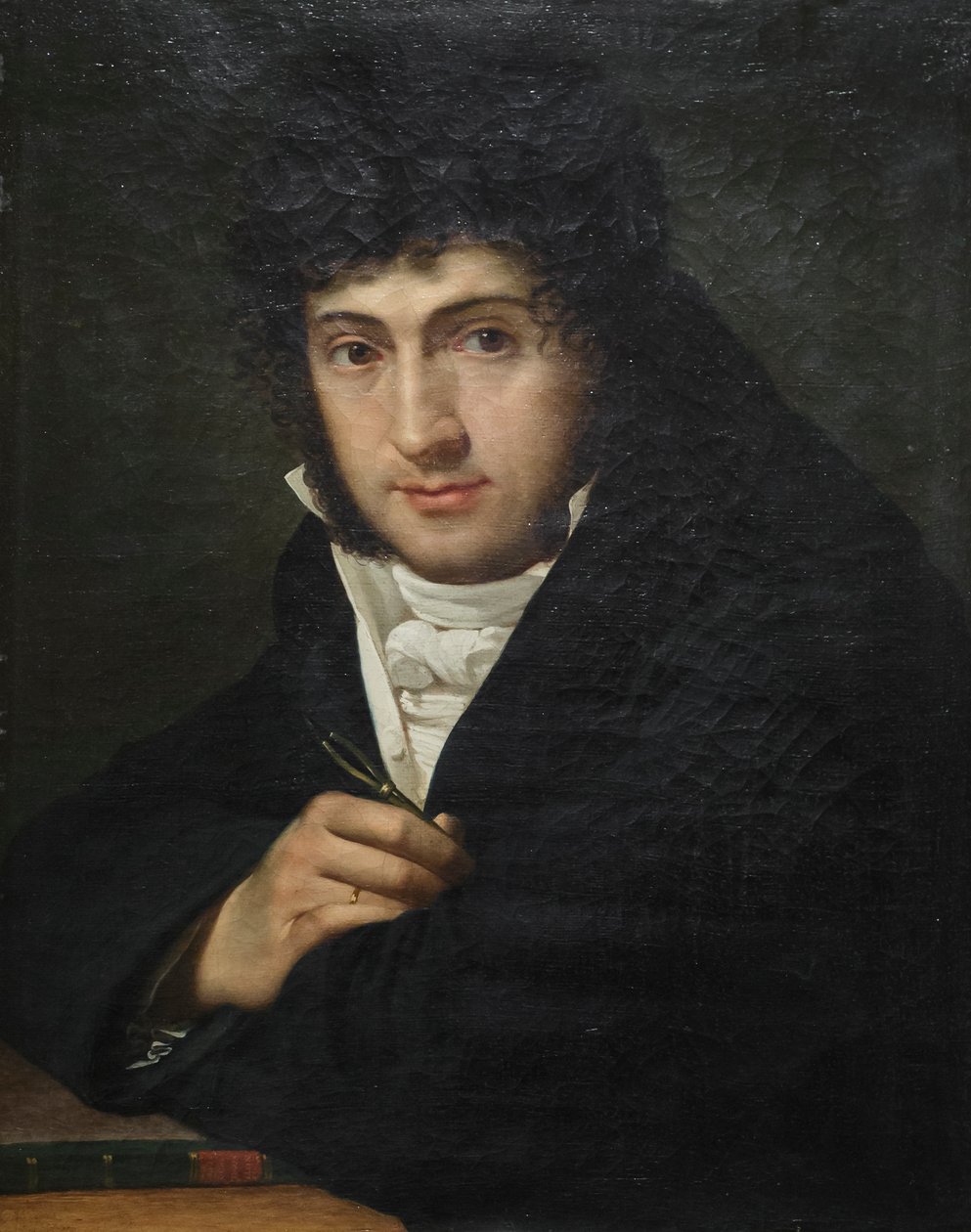 Portrait de Pelagio Palagi, Joseph François Ducq - Joseph François Ducq