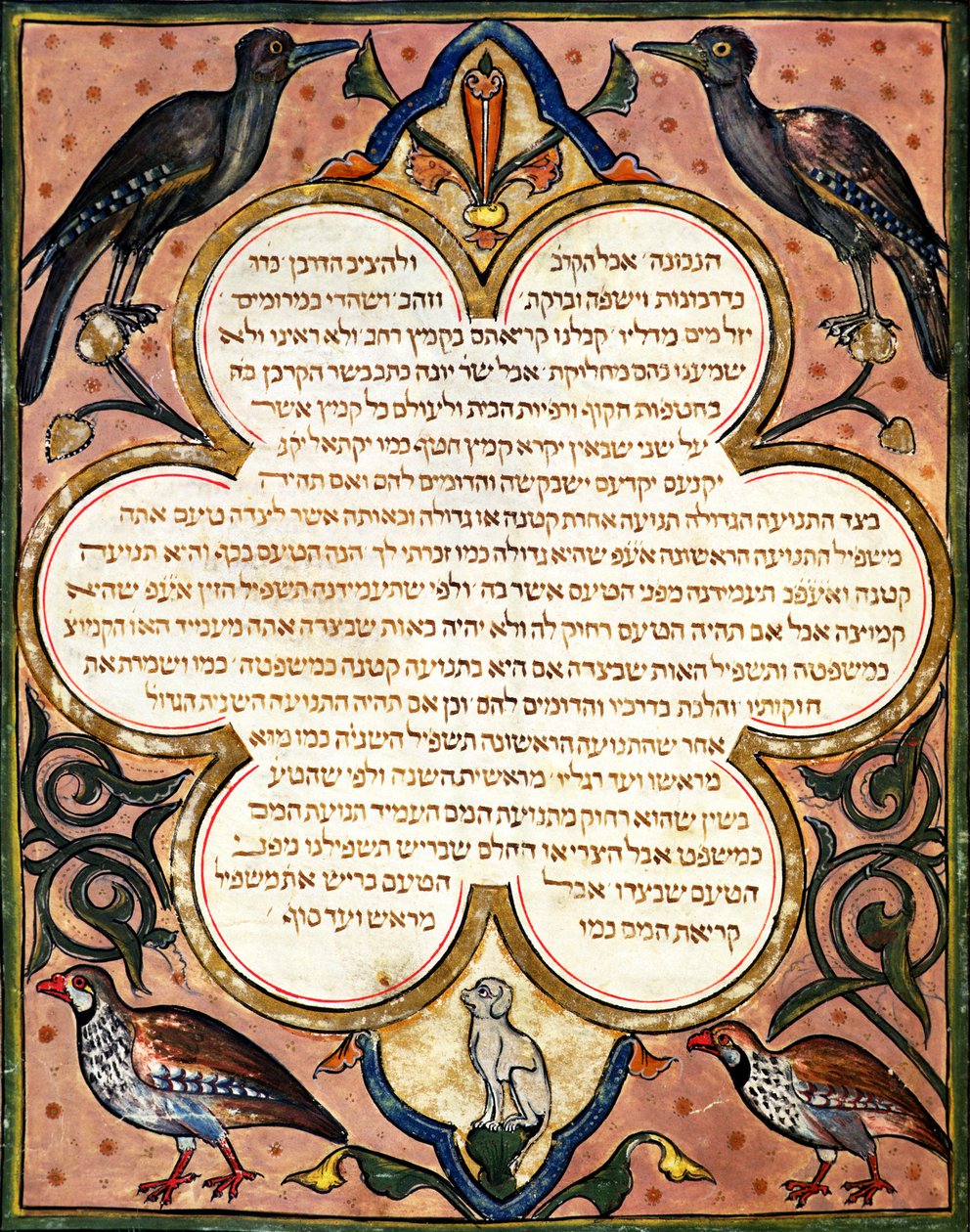 Page d