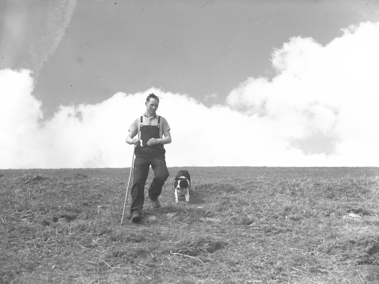 Un homme et son chien de berger se promènent à Martindale - Joseph Hardman
