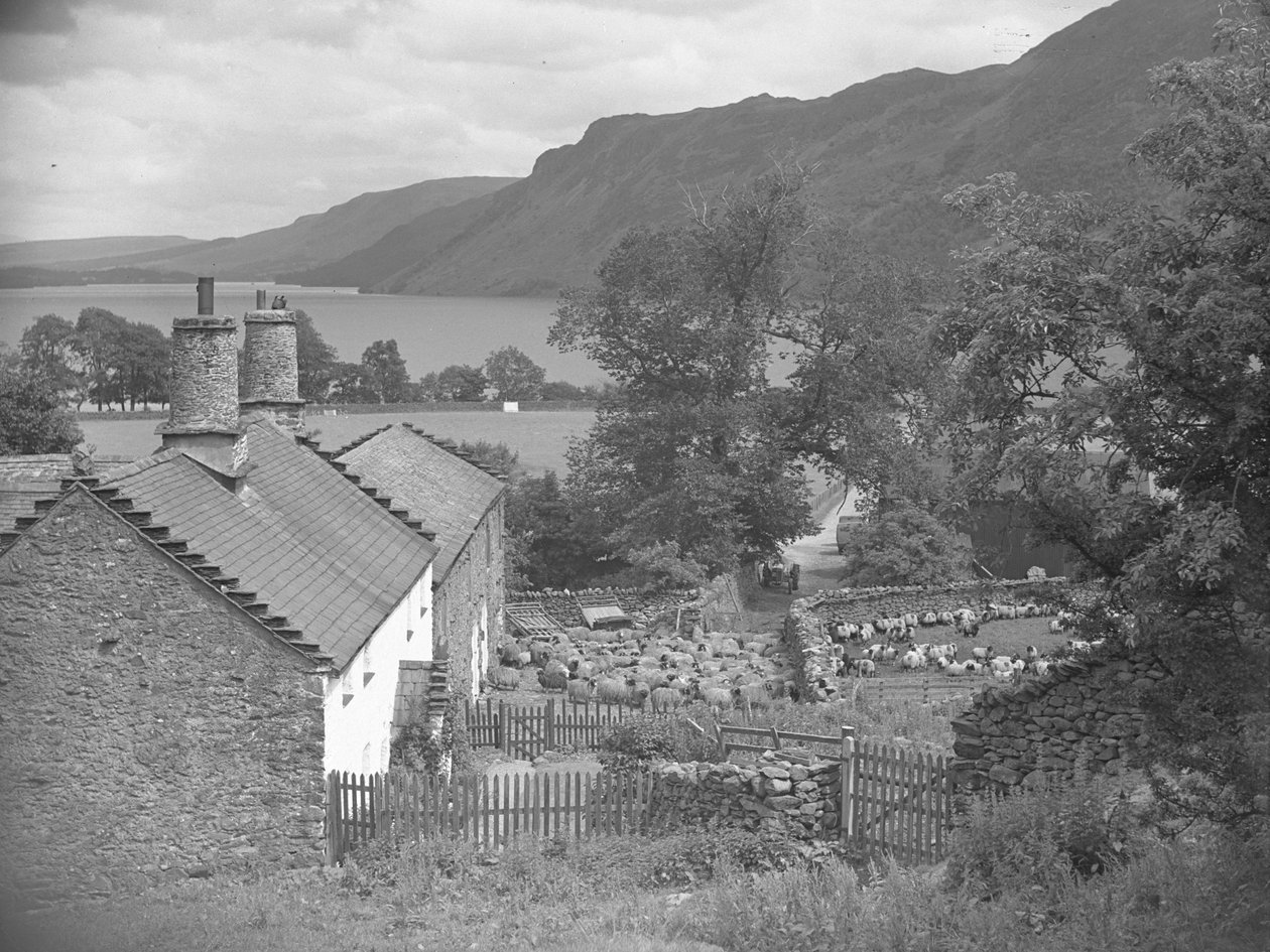 Bâtiments agricoles avec moutons dans la cour de ferme et Ullswater en arrière-plan - Joseph Hardman