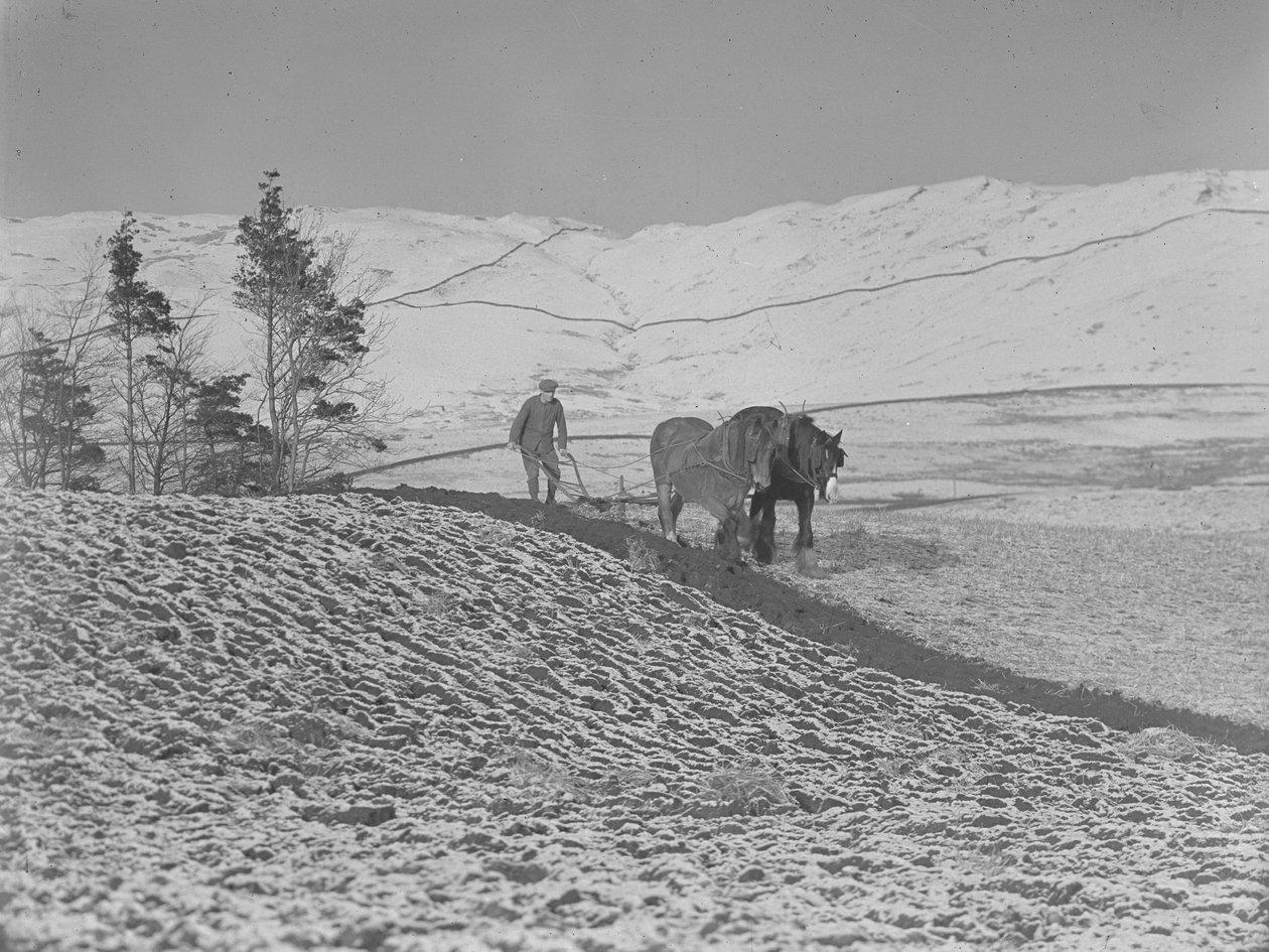 Deux chevaux labourant dans la vallée de la Lune - Joseph Hardman