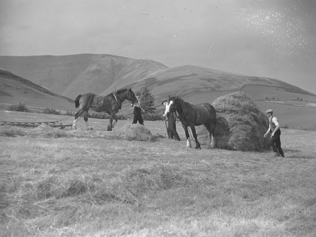 Deux chevaux tirant des traîneaux - Joseph Hardman
