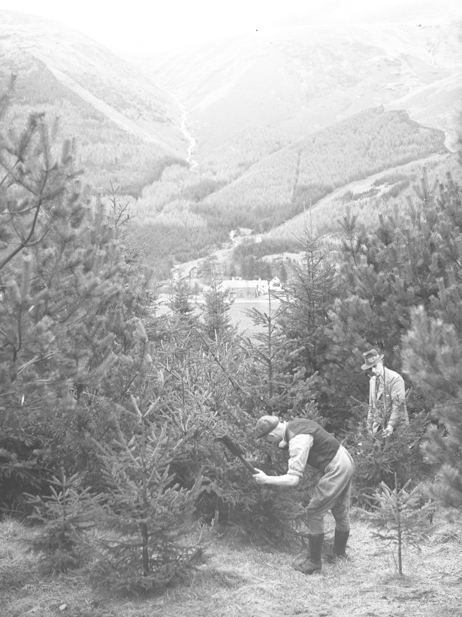 Deux hommes abattent un arbre de Noël à la hache, avec Thirlmere derrière eux. - Joseph Hardman