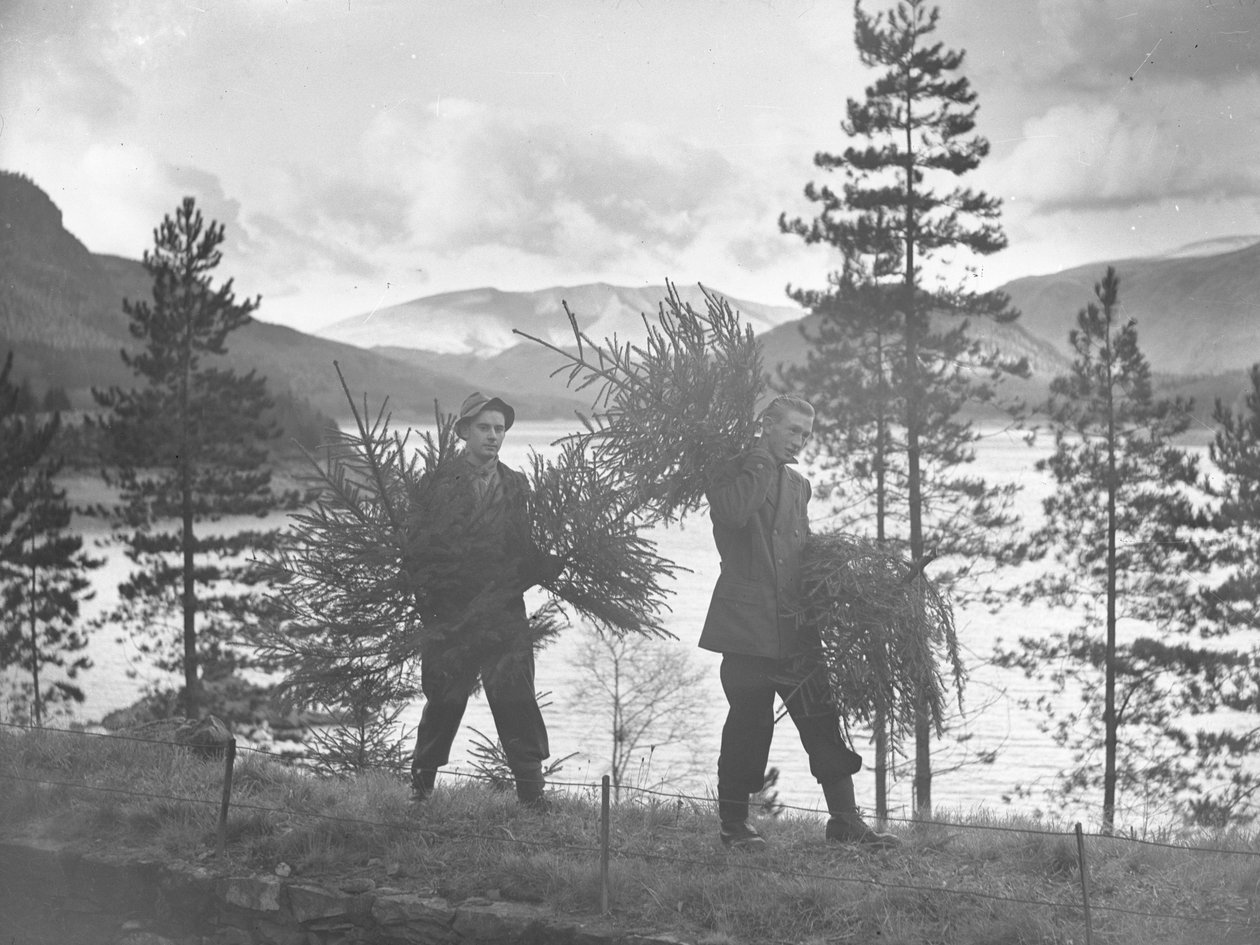 Deux jeunes hommes portant de petits arbres de Noël sur la rive de Thirlmere - Joseph Hardman