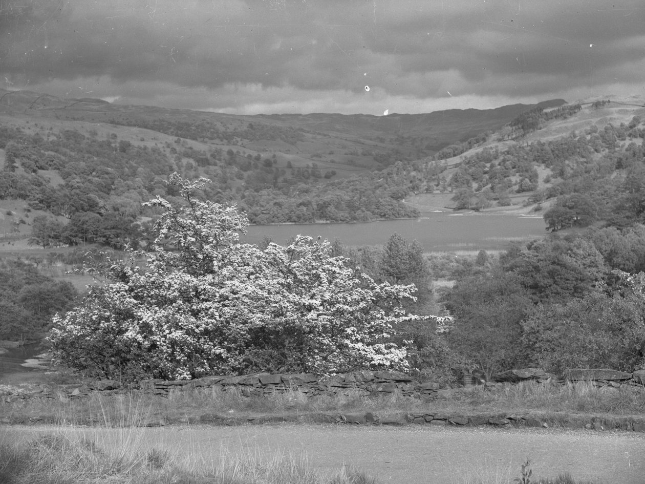 Vue sur un lac à Rydal - Joseph Hardman