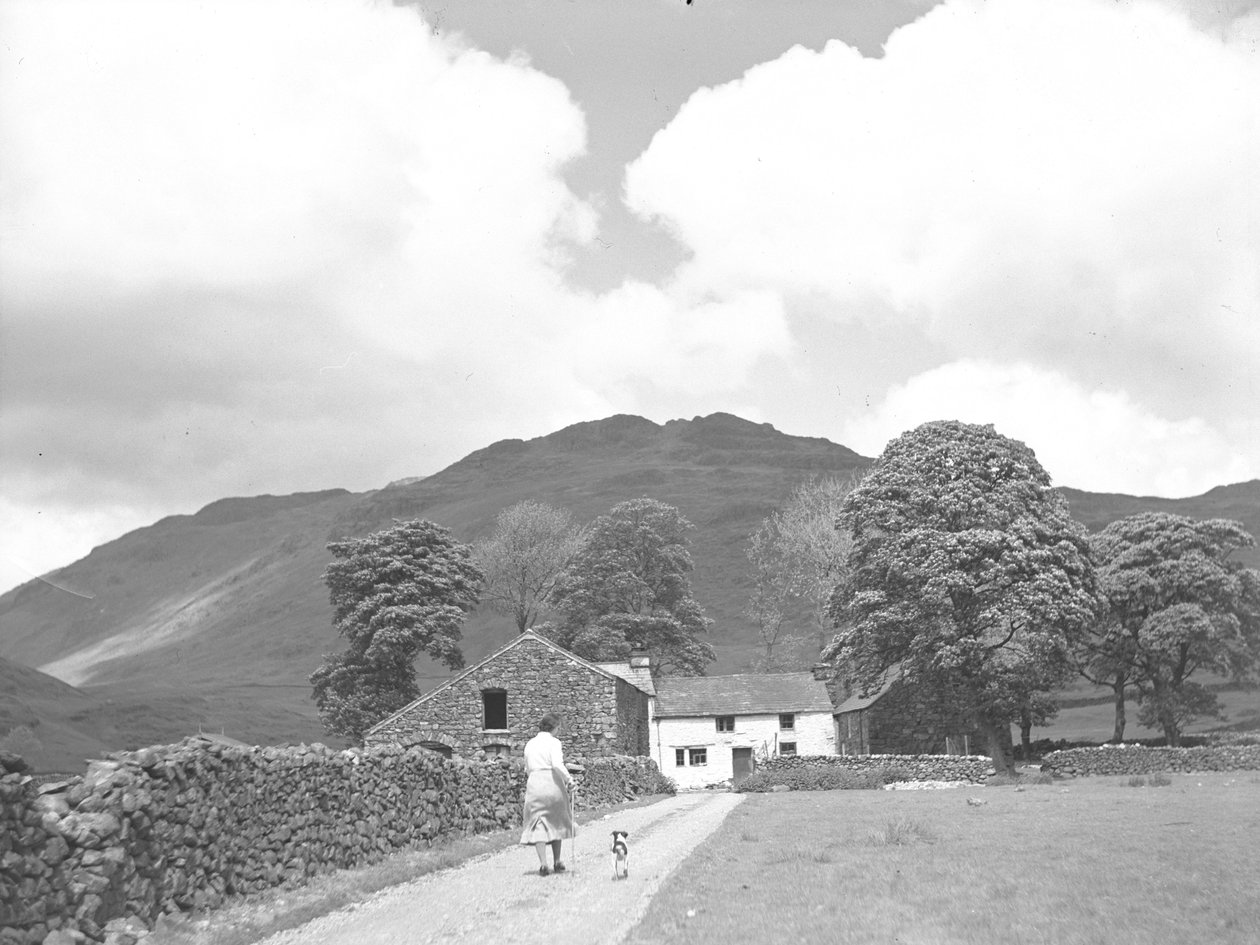 Femme et chien marchant sur le chemin de la ferme Dalehead - Joseph Hardman