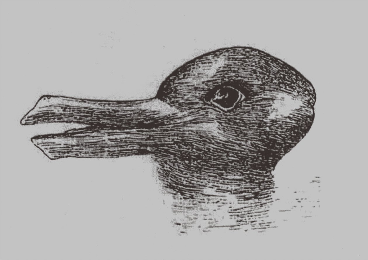 Illusion canard-lapin. De: Jastrow, J. L