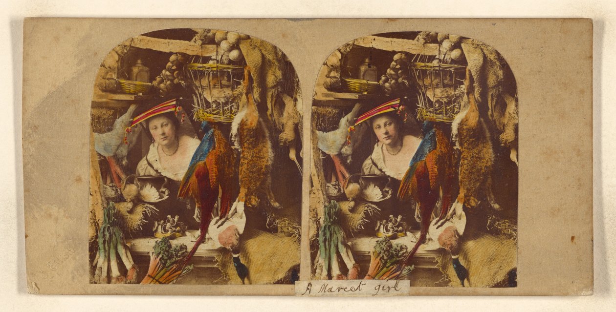 Beau canard, monsieur  - Joseph John Elliott