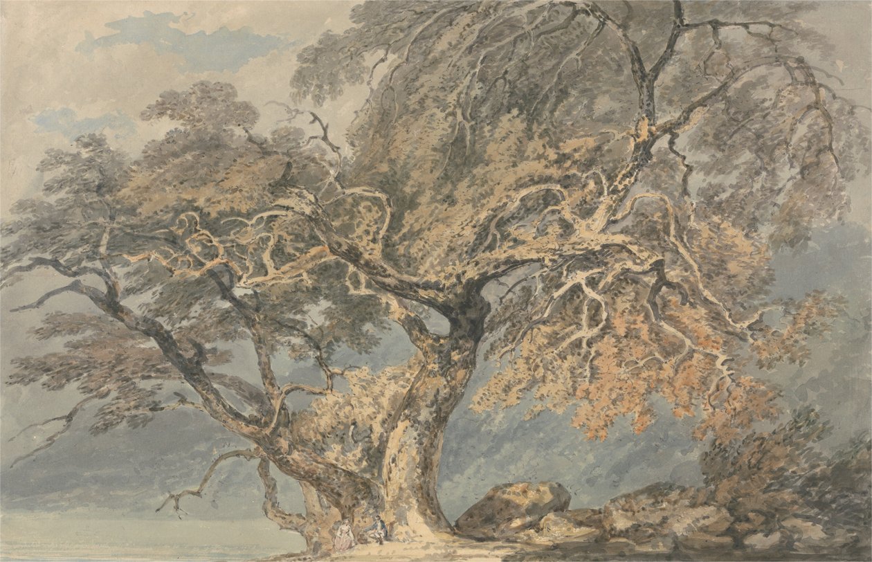 Un grand arbre - Joseph Mallord William Turner